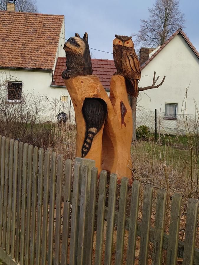 Ferienhof-Rietschen-Neuliebel Esterno foto