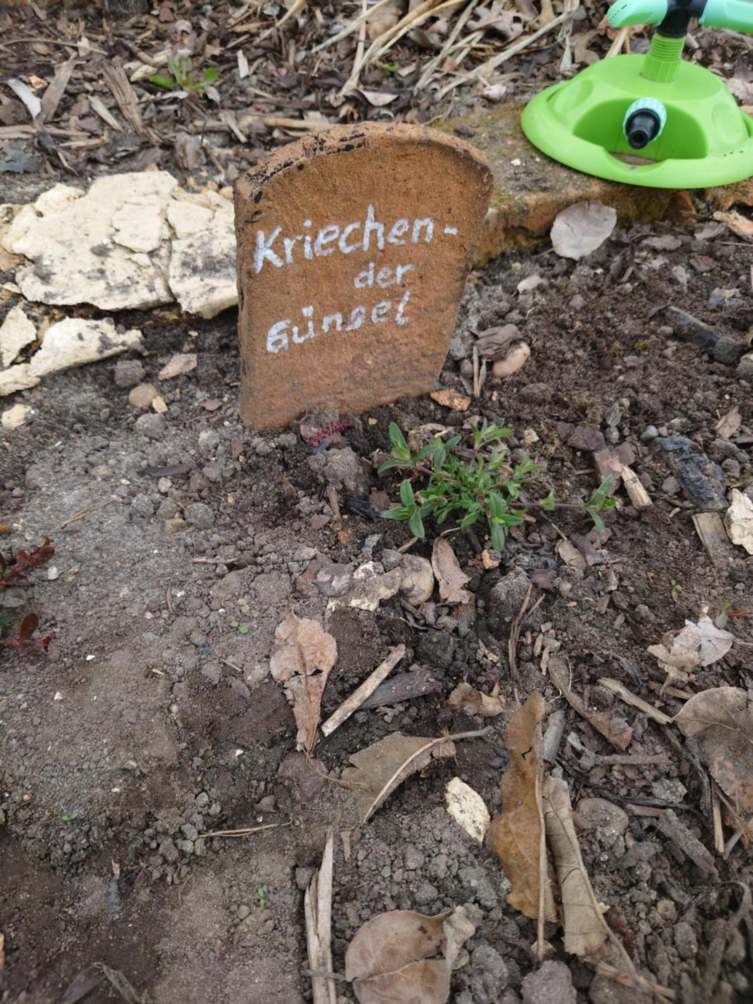 Ferienhof-Rietschen-Neuliebel Esterno foto