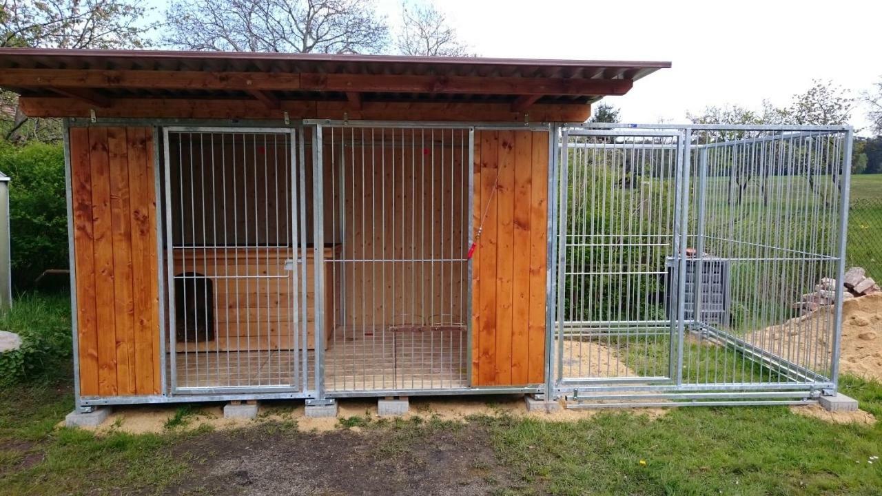Ferienhof-Rietschen-Neuliebel Esterno foto