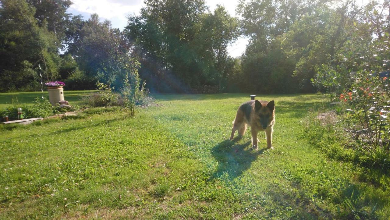 Ferienhof-Rietschen-Neuliebel Esterno foto